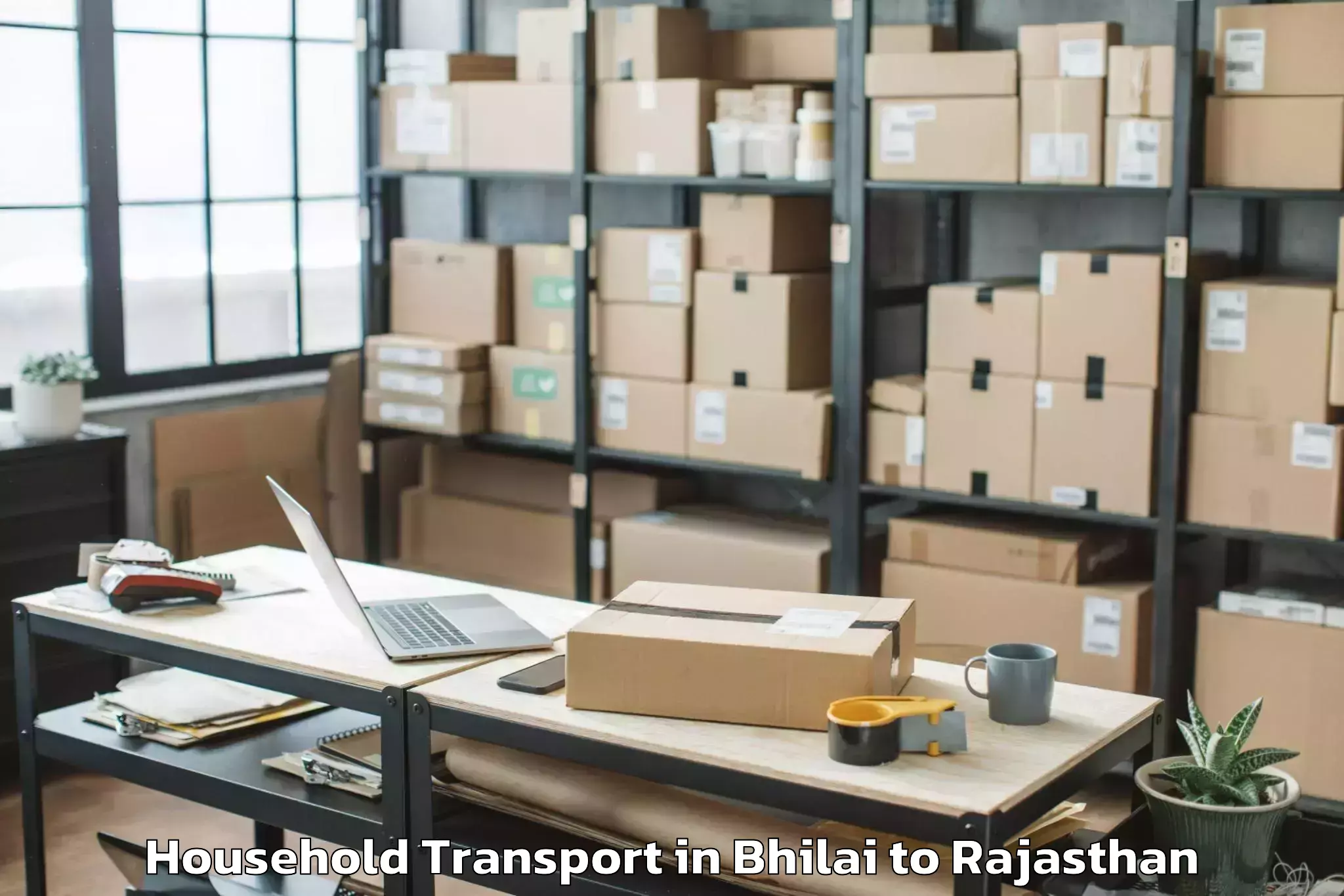 Reliable Bhilai to Hindaun Household Transport